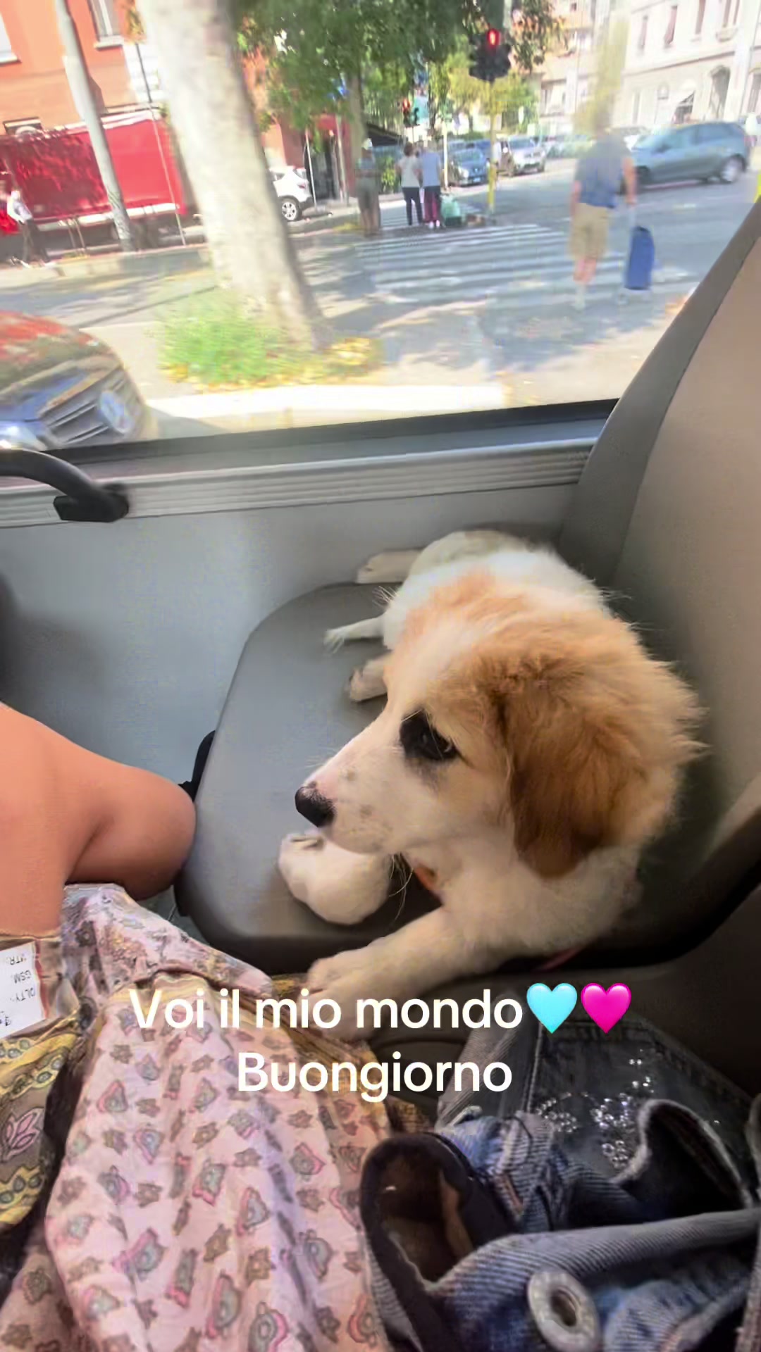 @Tizzi e i suoi pelosi😍😍