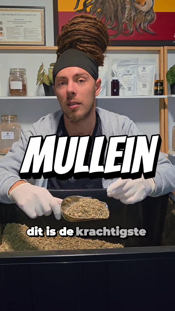 @Ital Natty