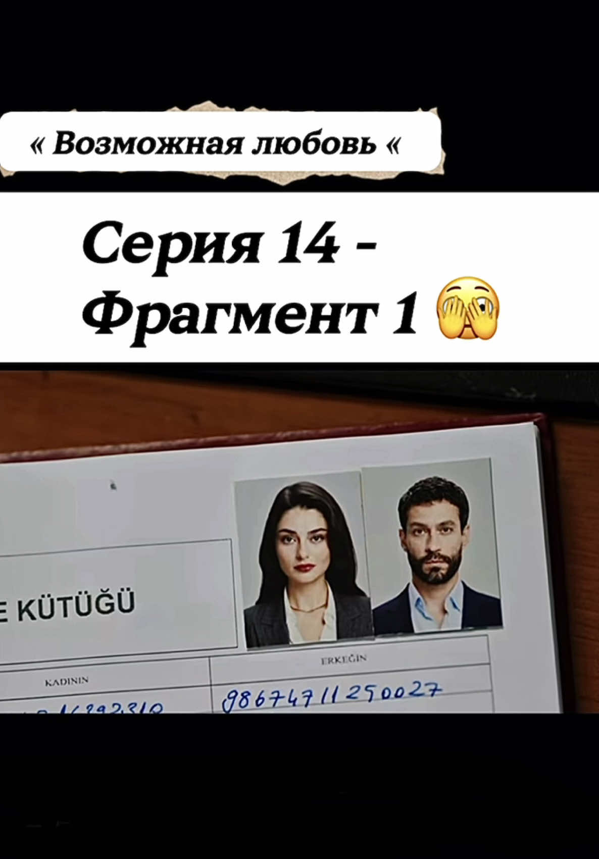 @turk.dis