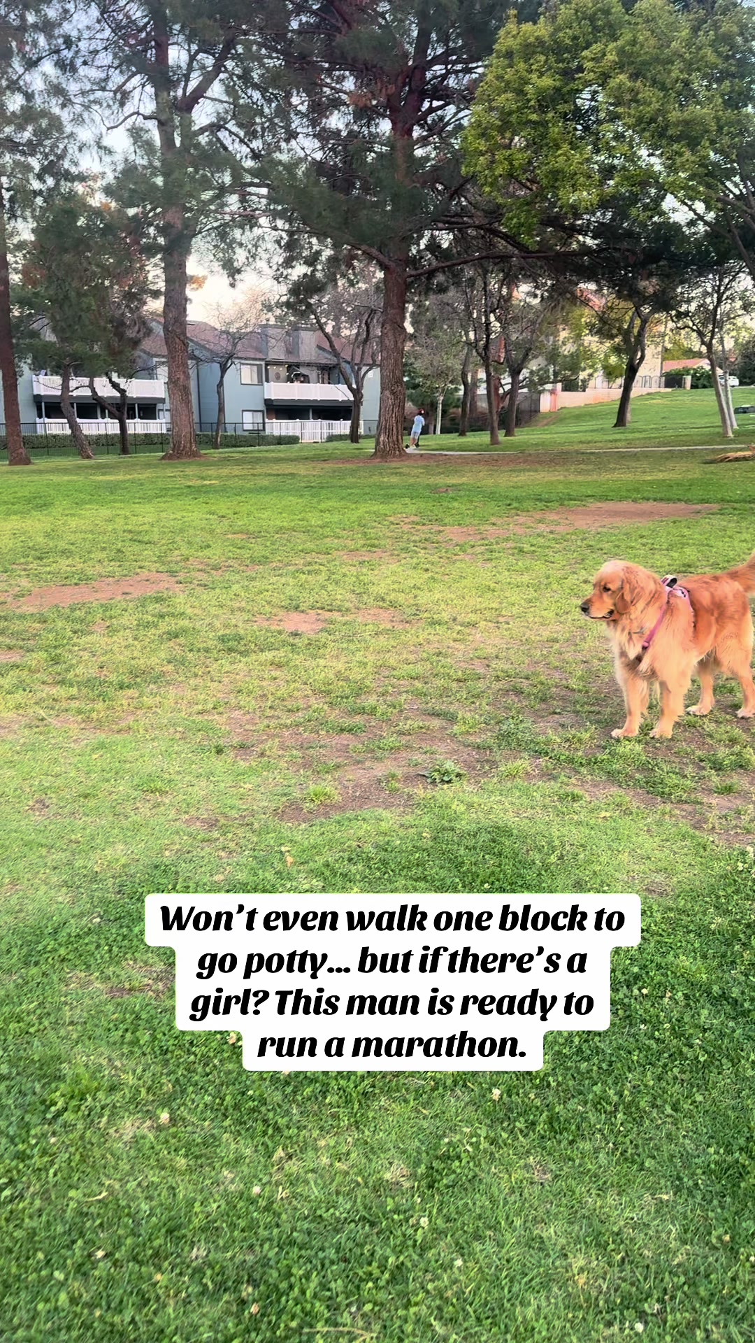 @Taco 🐶🧿