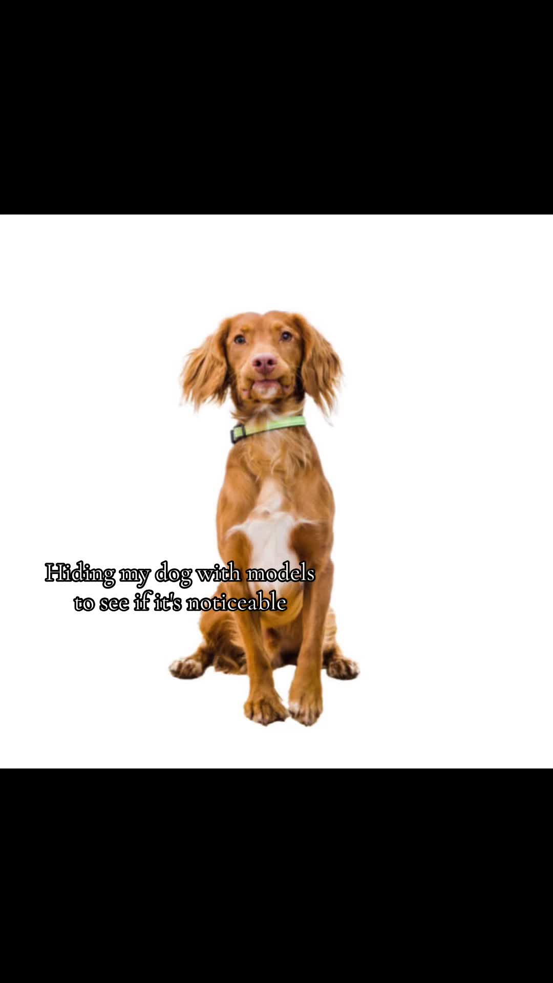 @𝙷𝙸𝚃𝚂𝚄