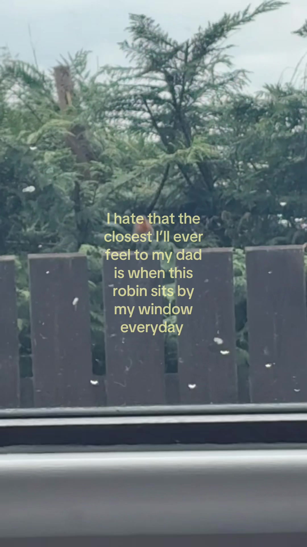 @ellie 🤍