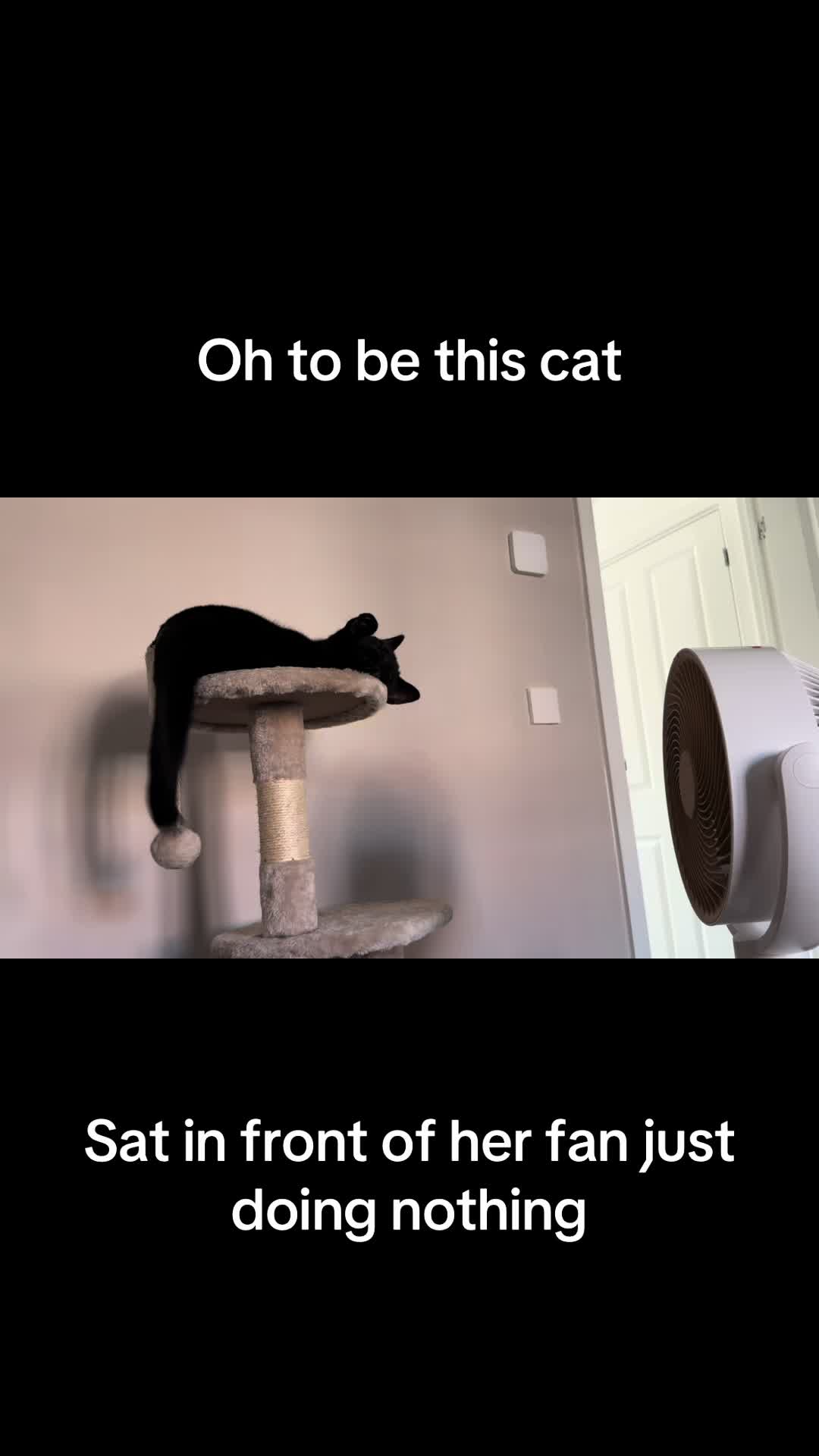 @StopImAlreadyDan
