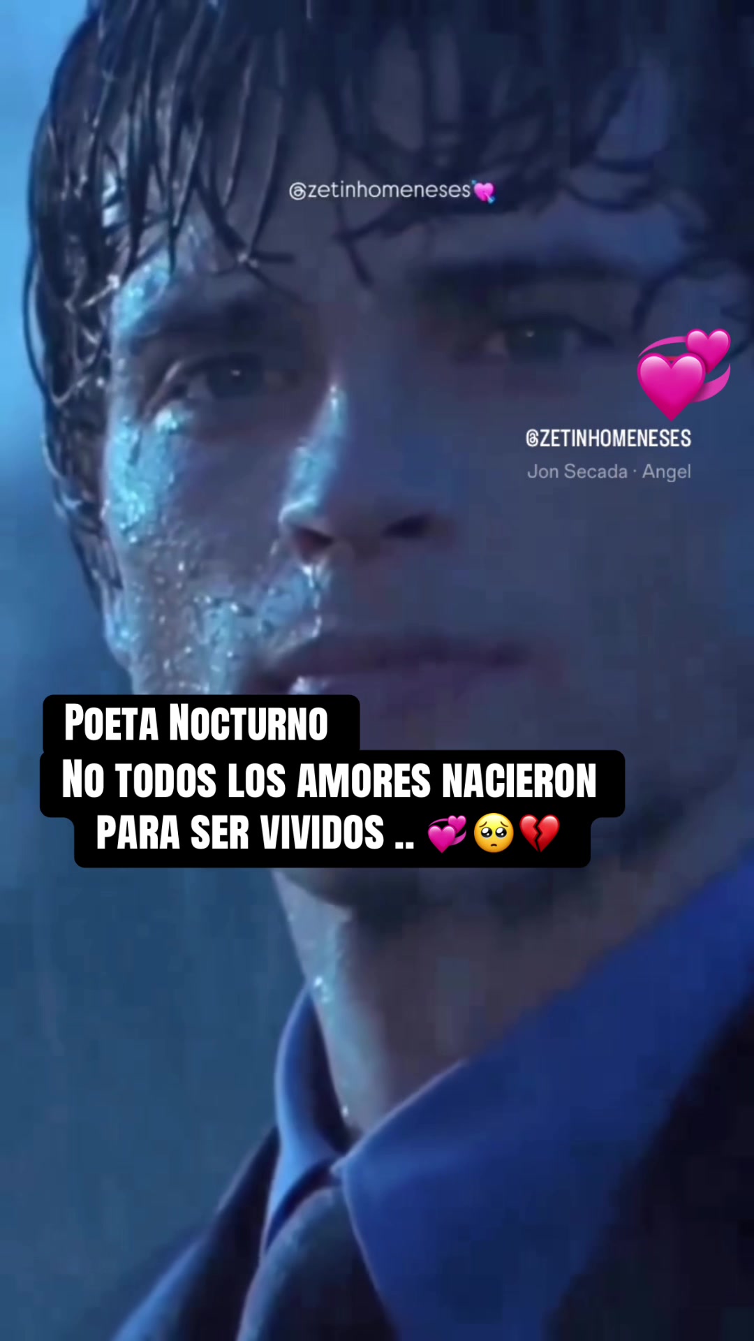 @Poeta Nocturno 503