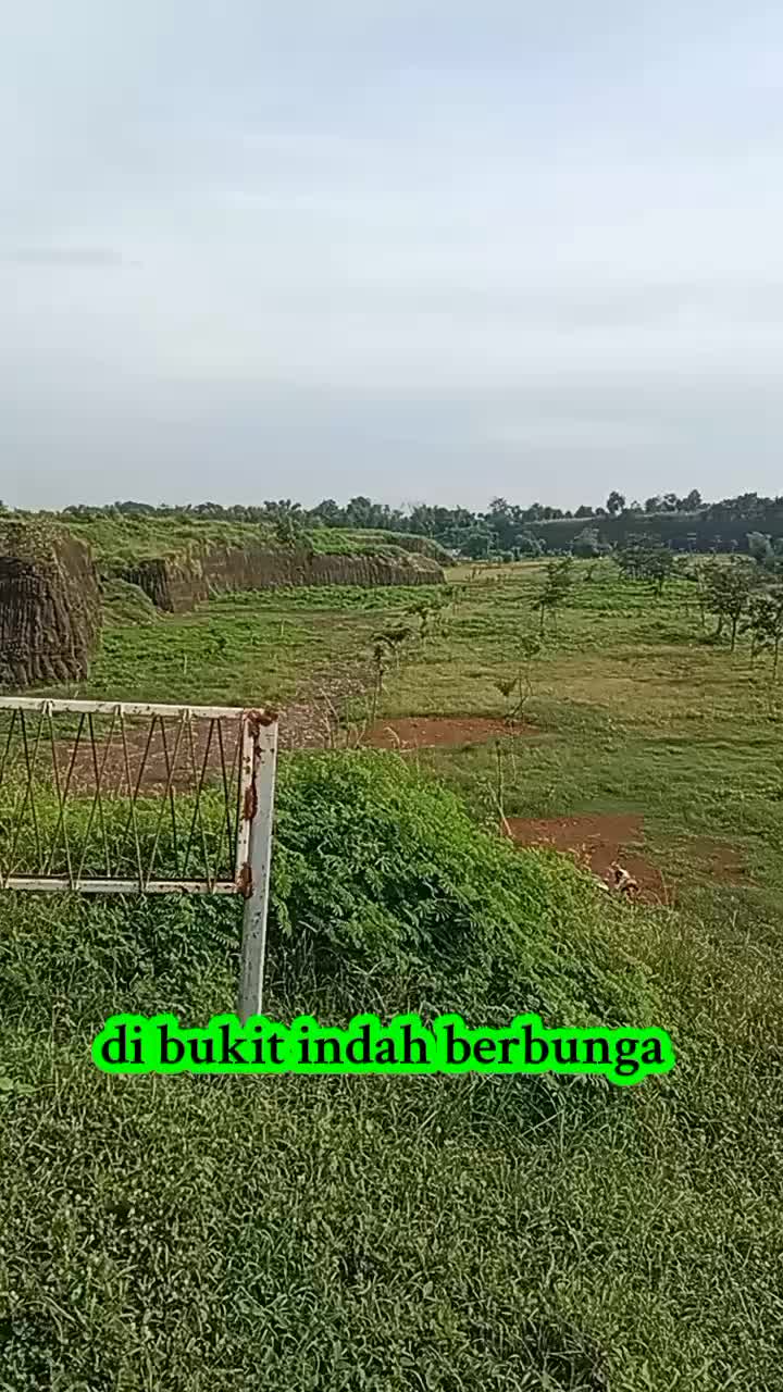 @alimuhsin74