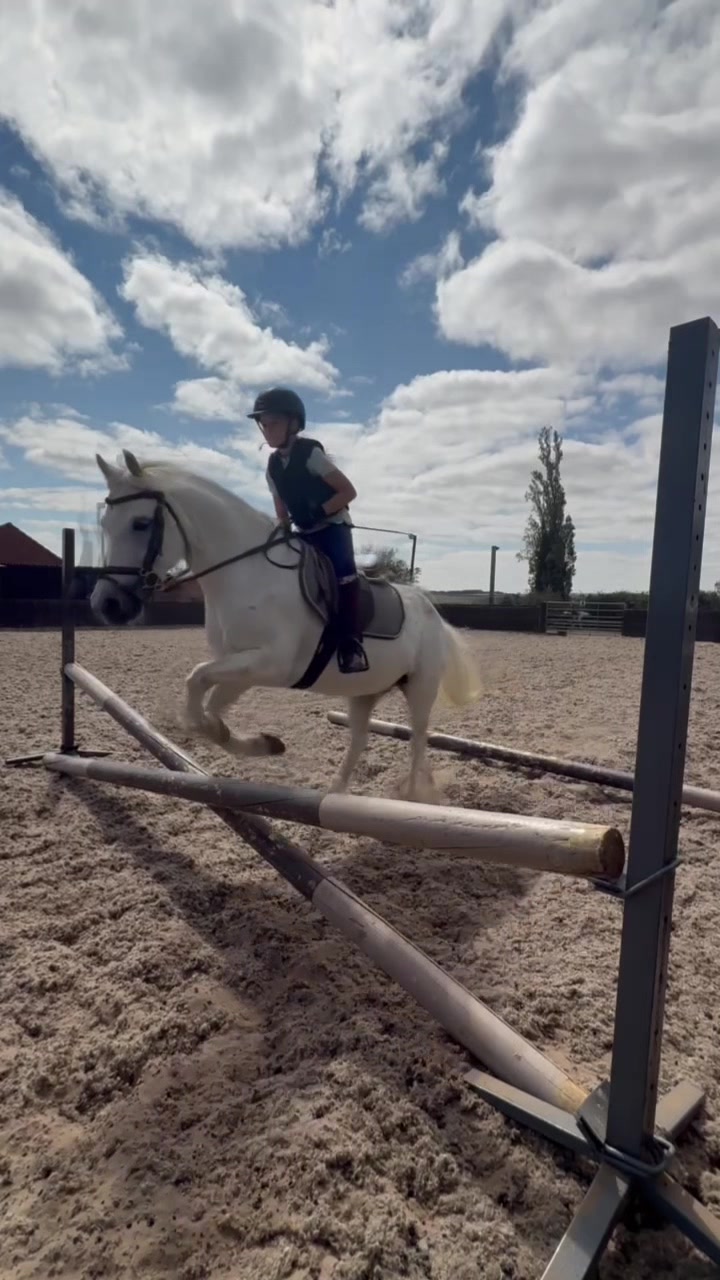 @LottiesHorseAdventures🦄🐴