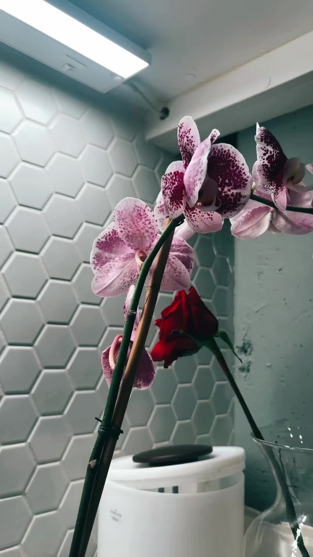 @e_zada🥀