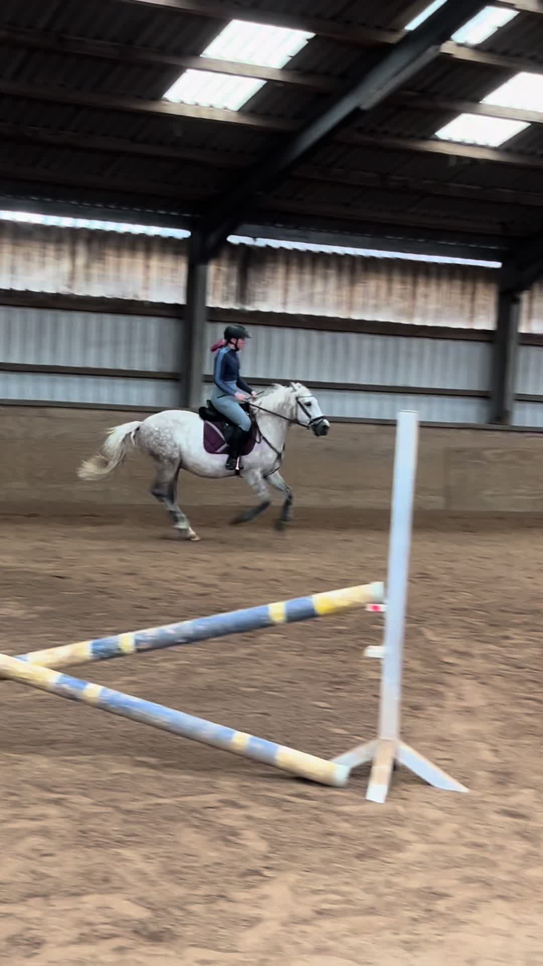 @sunny_the_pony20
