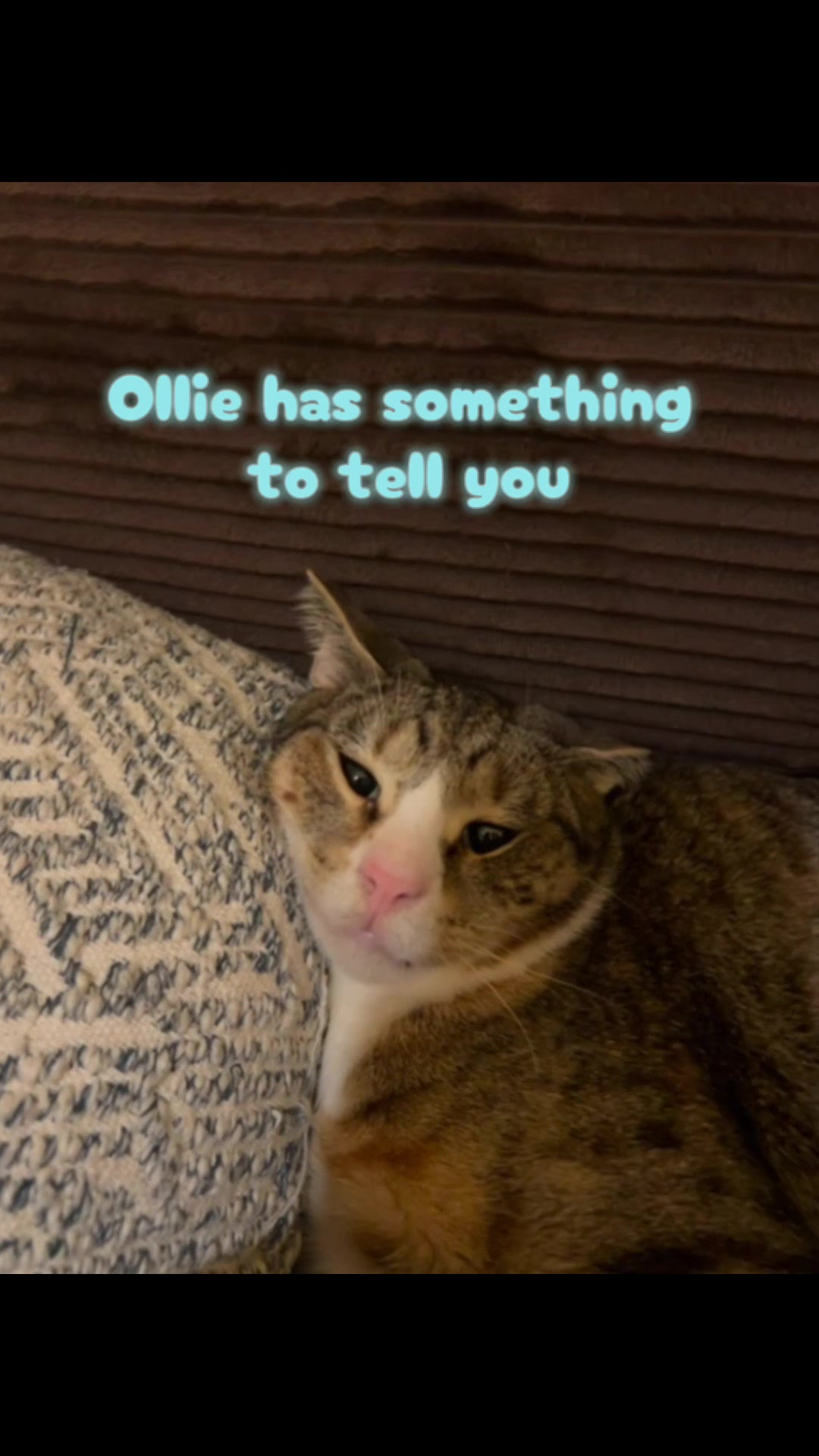 @Ollie Wobbles