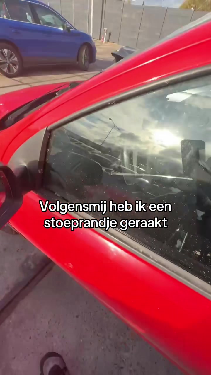 @DePlicht🦘