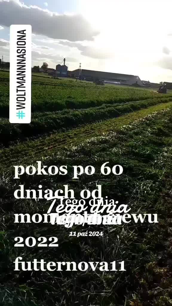 @WOLTMANNNASIONA