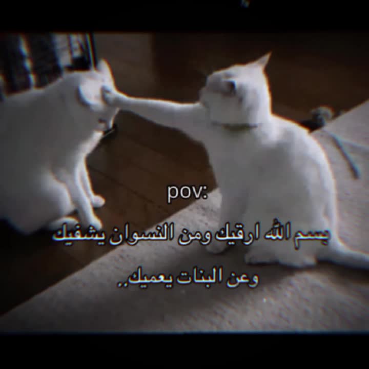 @جوجو| 𝐉𝐨𝐣𝐨 𐙚 ~