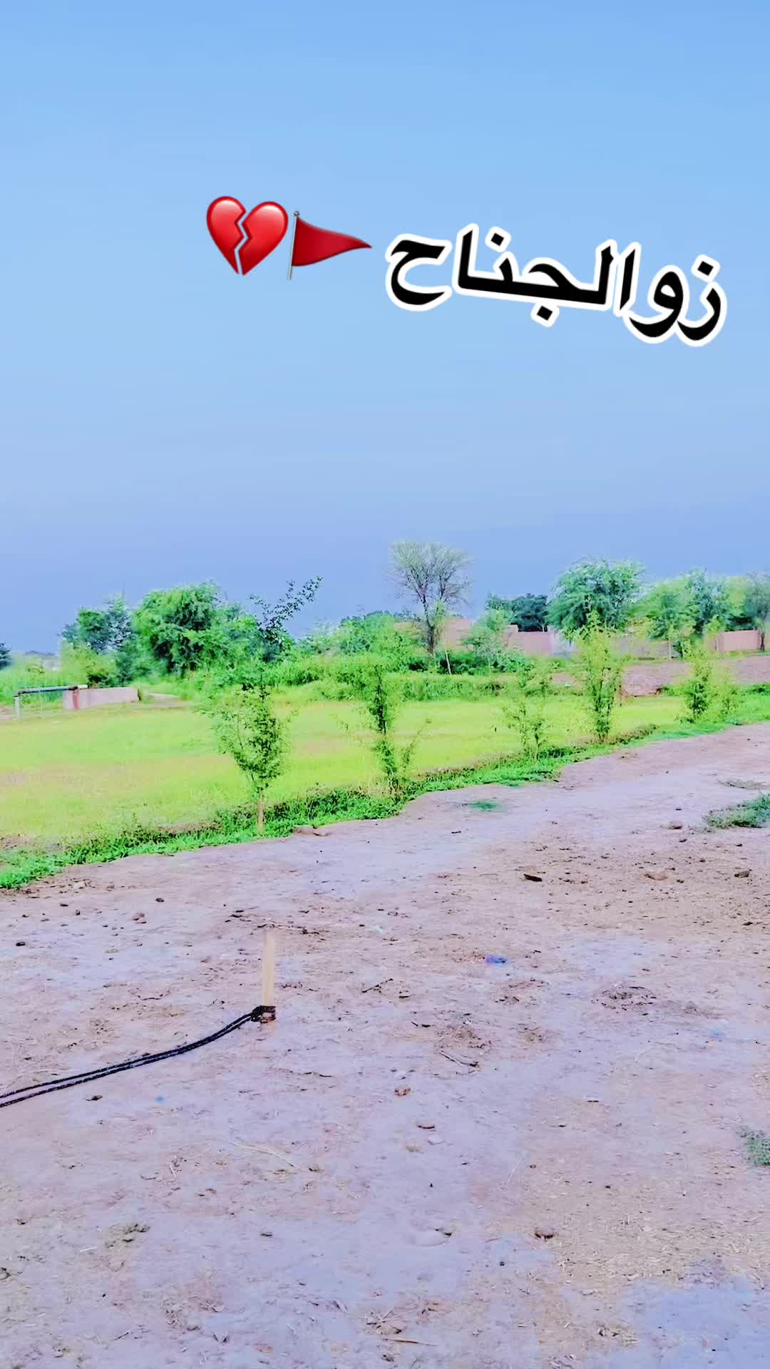 @Makhdoom Qasid Bukhari 👑🙇