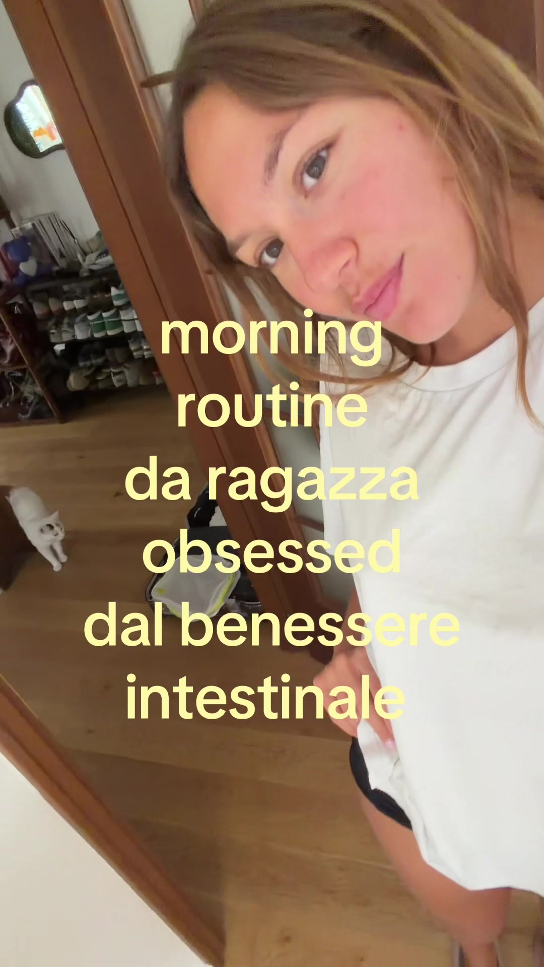 @gibbi