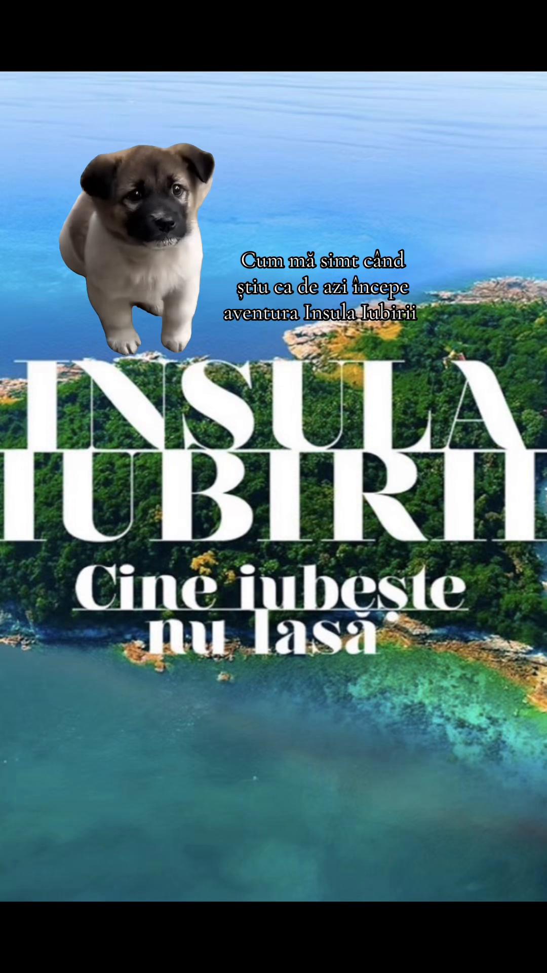 @Elena Amza