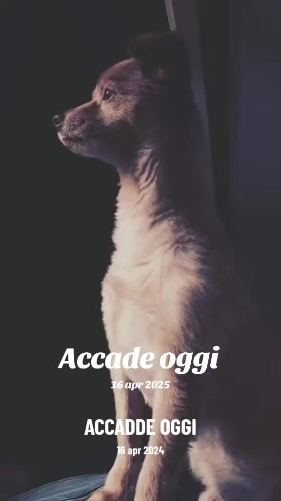 @ℭ𝔦𝔫𝔷𝔦𝔞𝔏𝔞𝔇𝔦𝔳𝔞