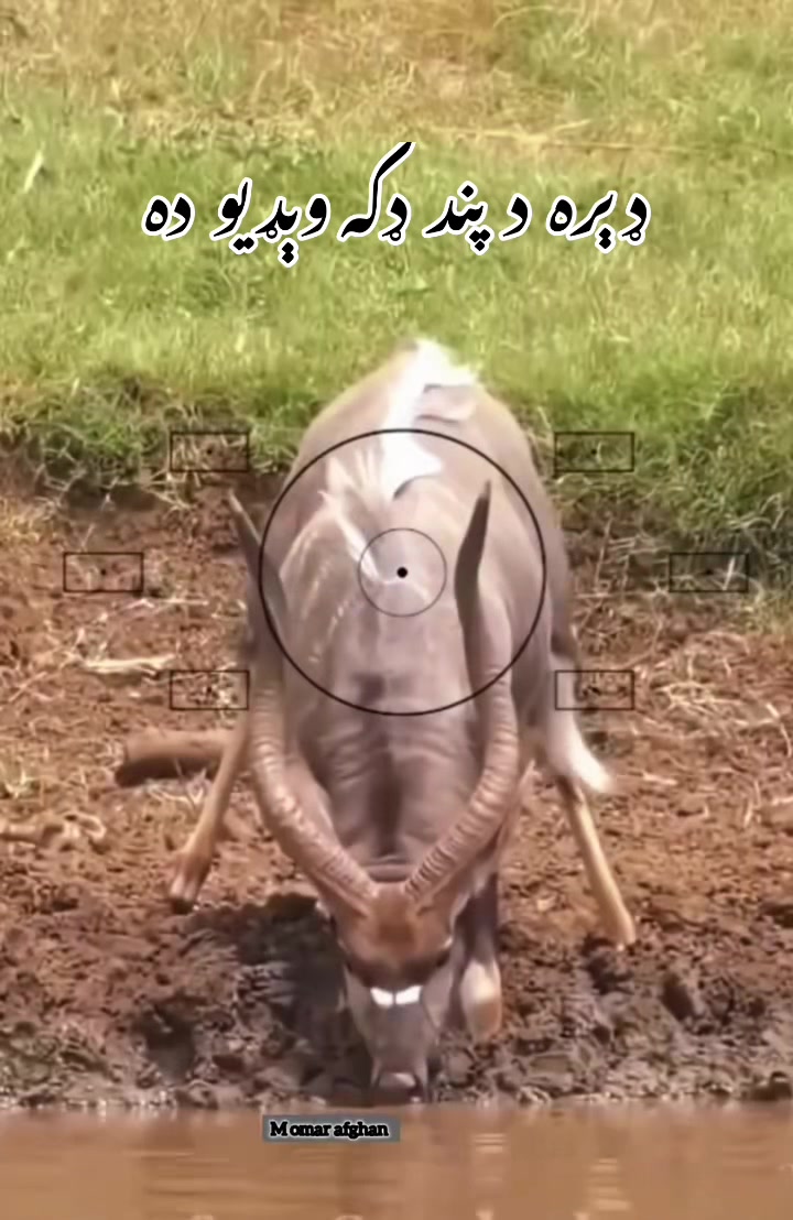 @𝓑𝓲𝓵𝓪𝓵 ☢💥