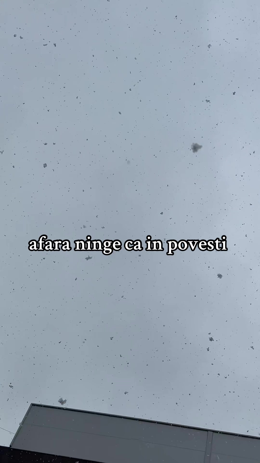 @sprinkyyyy