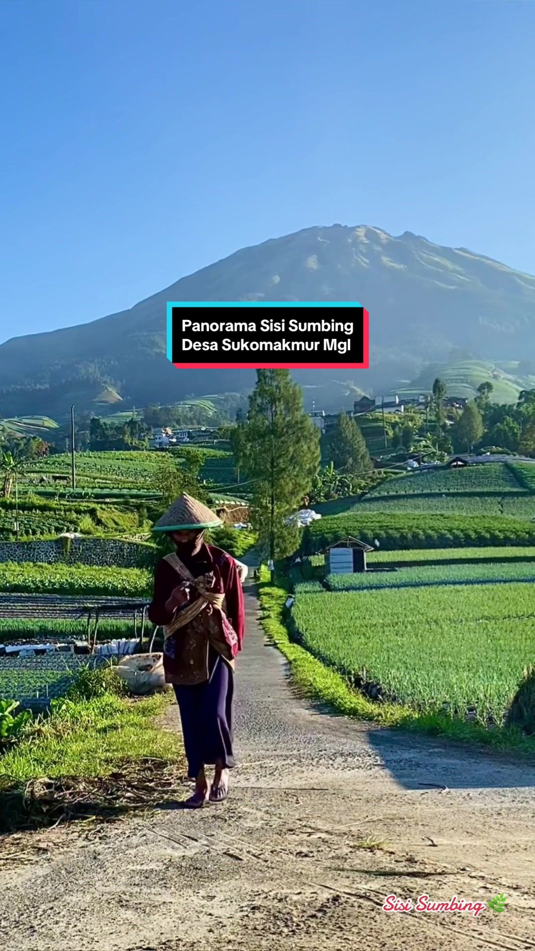 @SISI_SUMBING