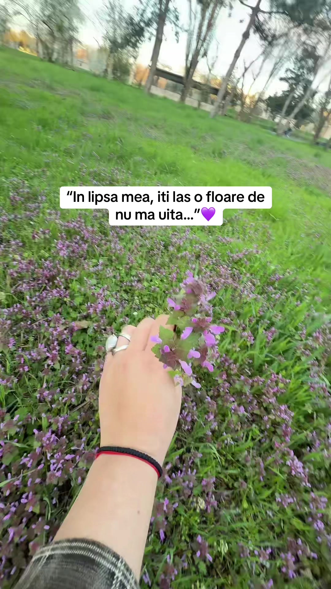 @Andreea Grădinaru