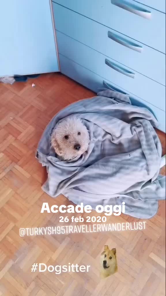 @crazytravels95