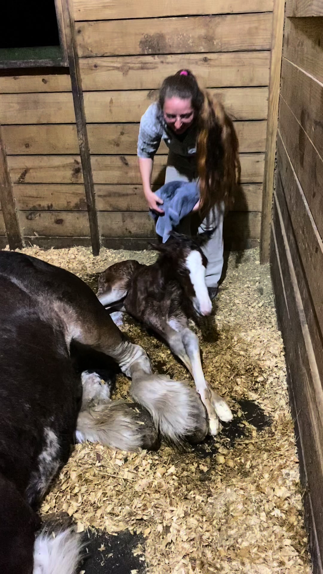 @saltdragonfarm