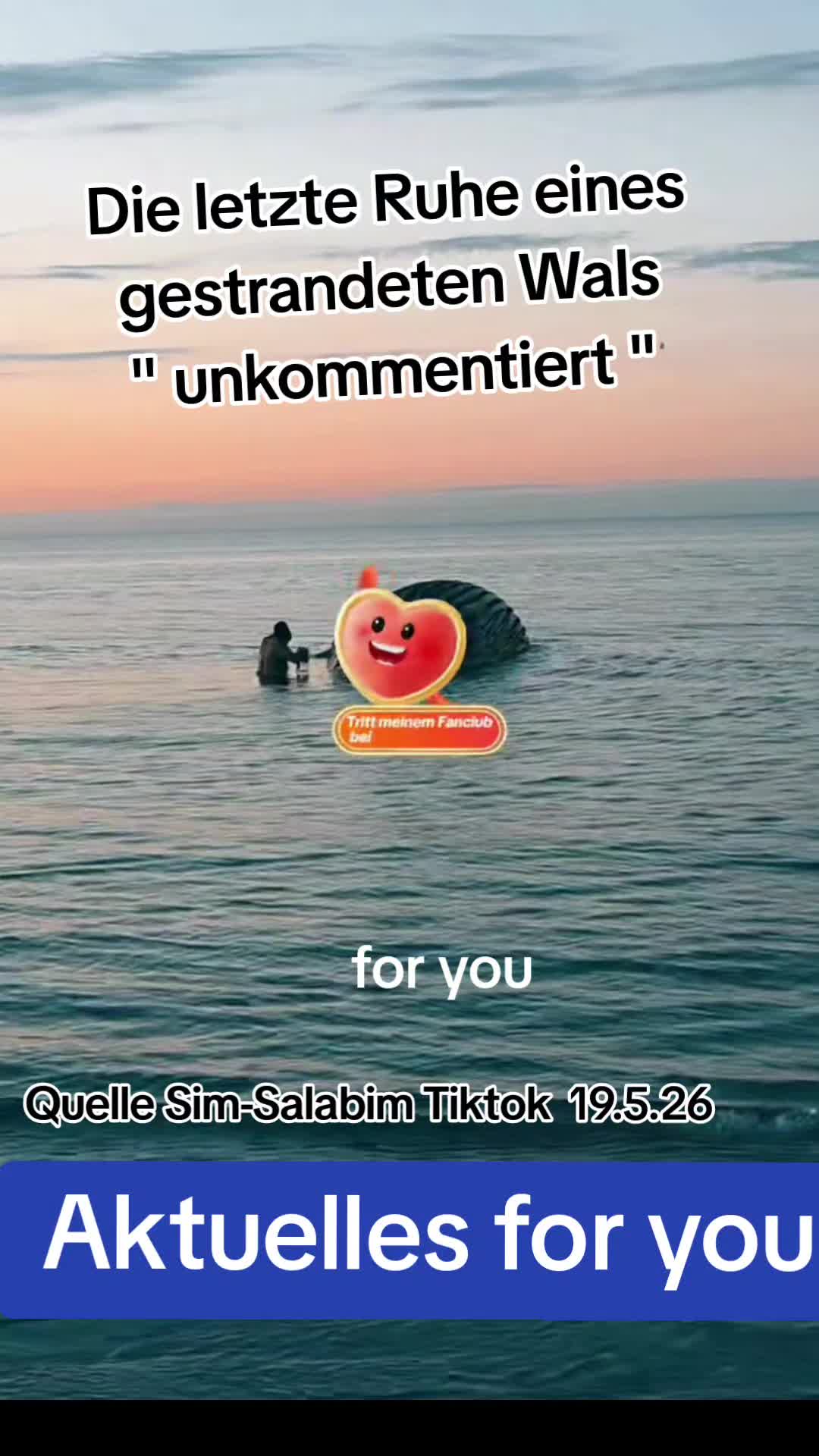 @Aktuelles for you