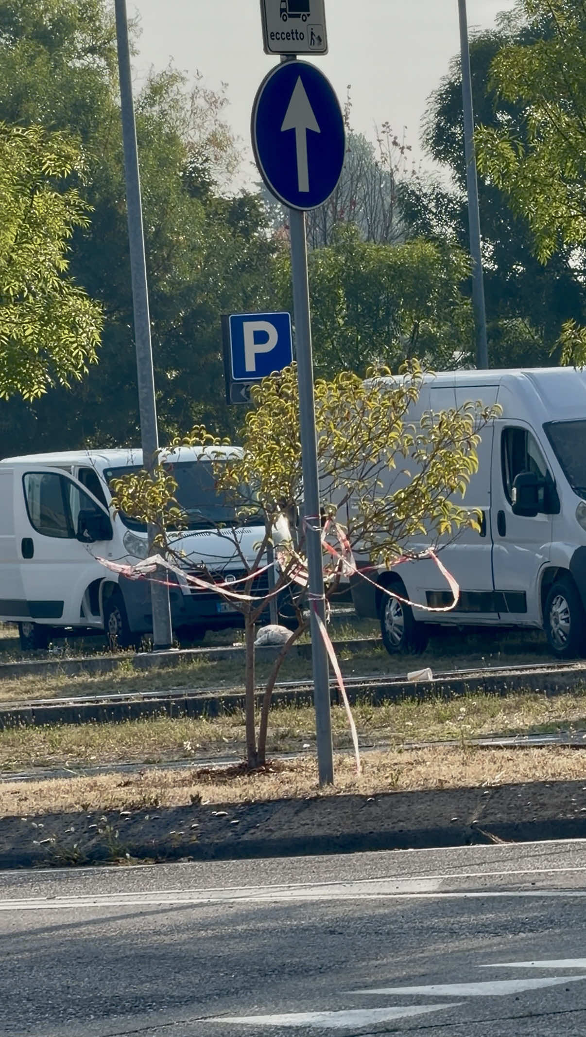 @Nicolò Naclerio