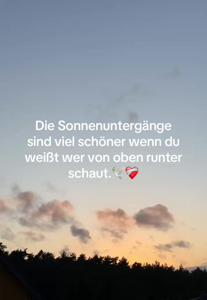 @Kennt_mann_nicht_187🐊