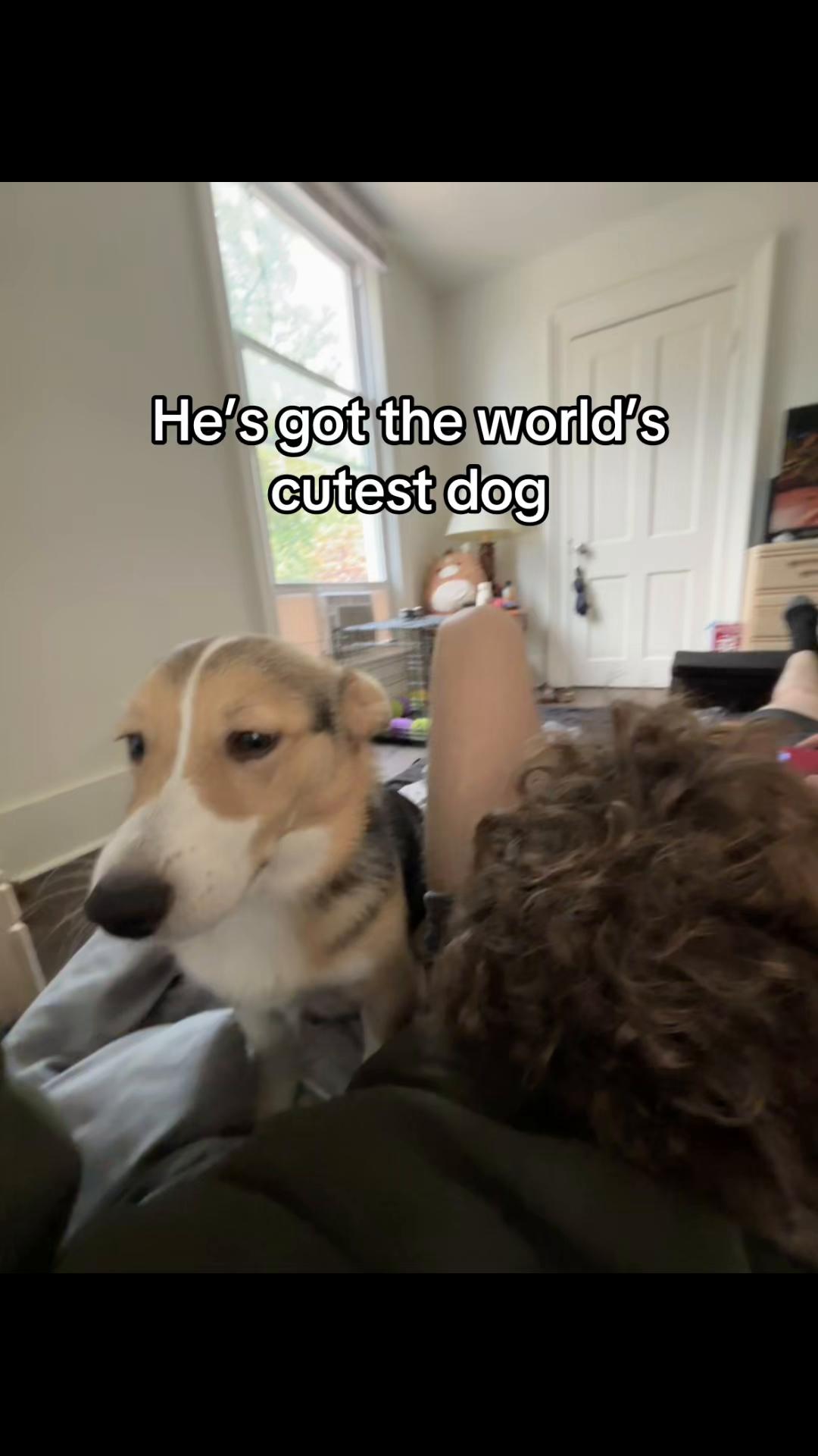 @Whiteboiwspraycheese