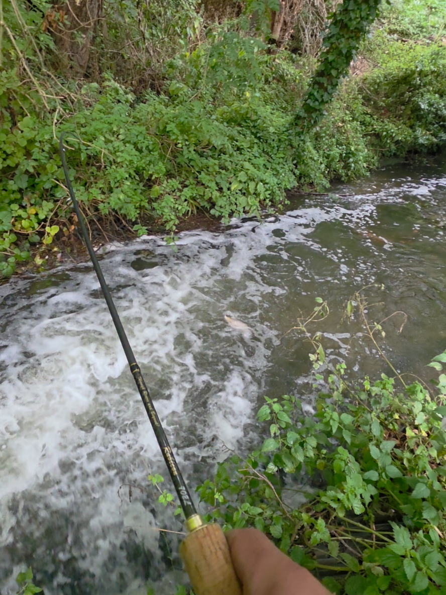 @BF Angler