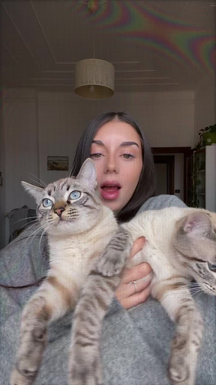@B.