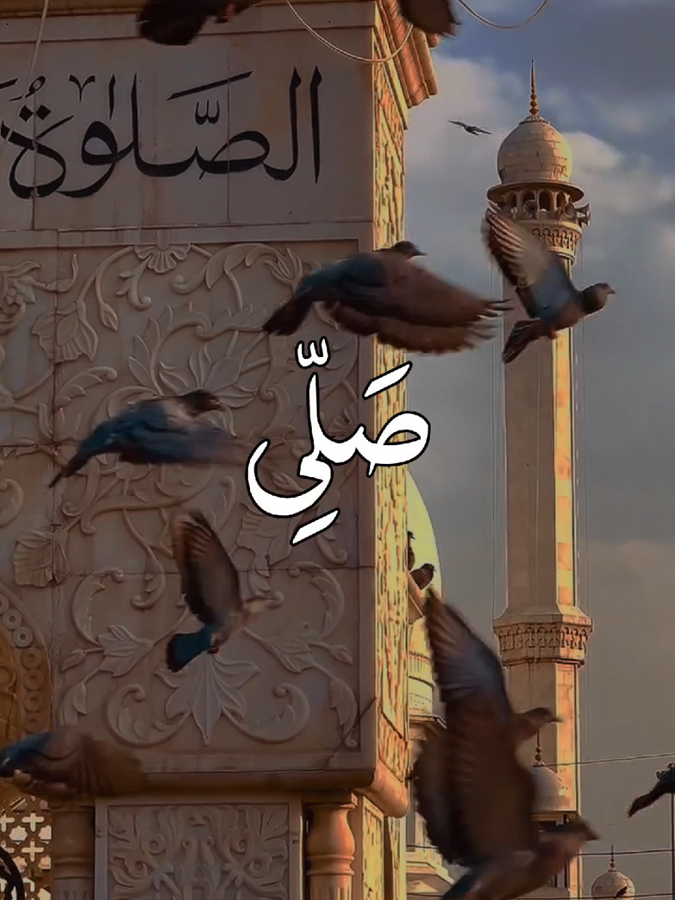 @HOLY QURAN