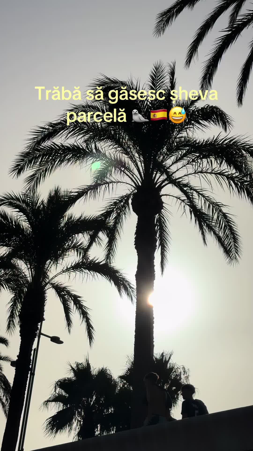 @Miles & Memories 🌍