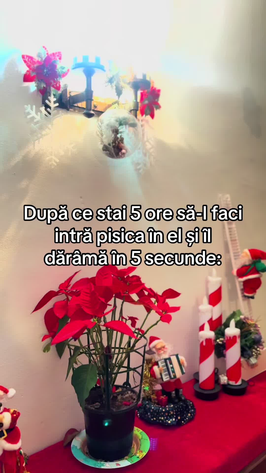@ralu127