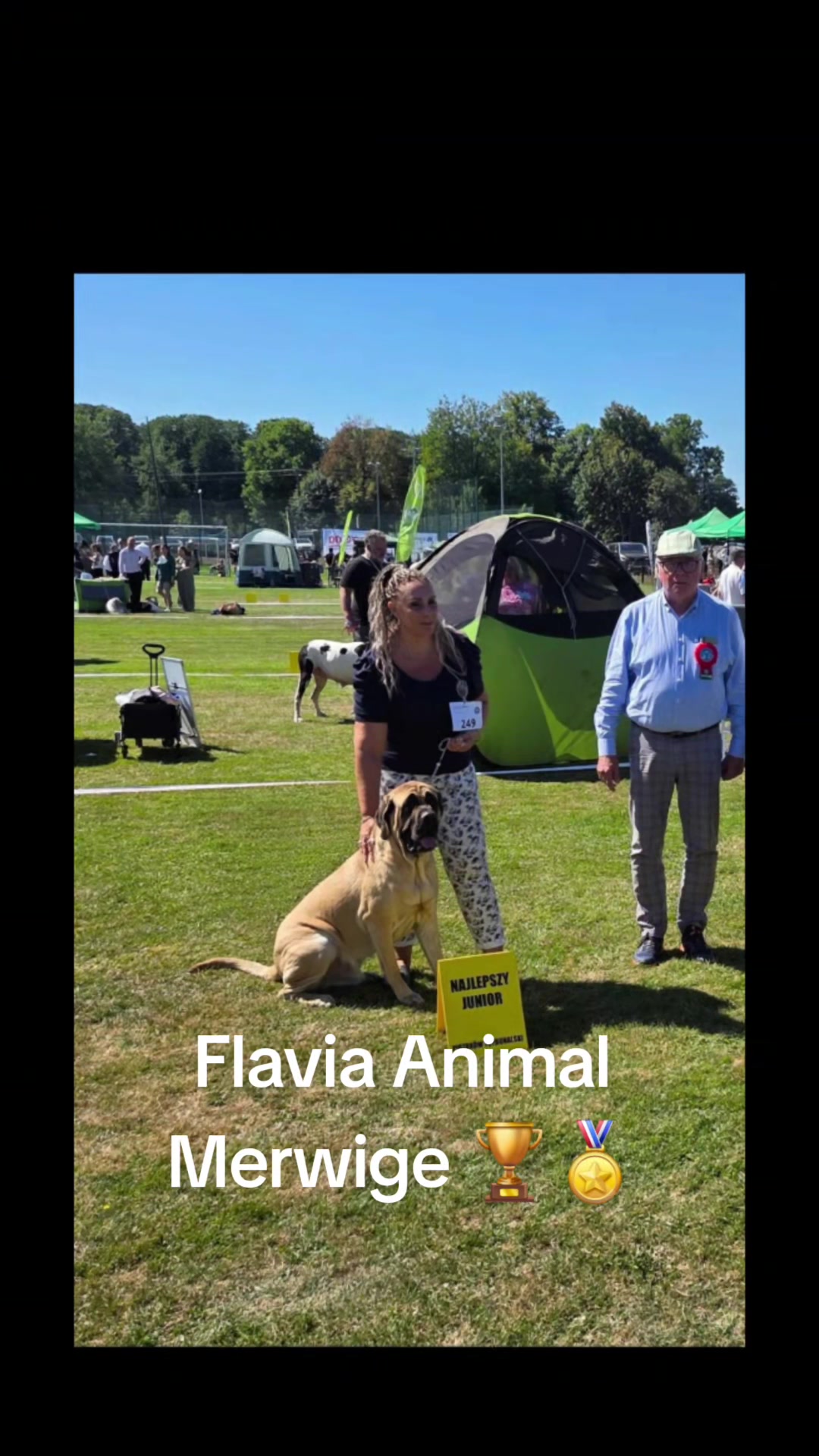 @Animal merwige fci