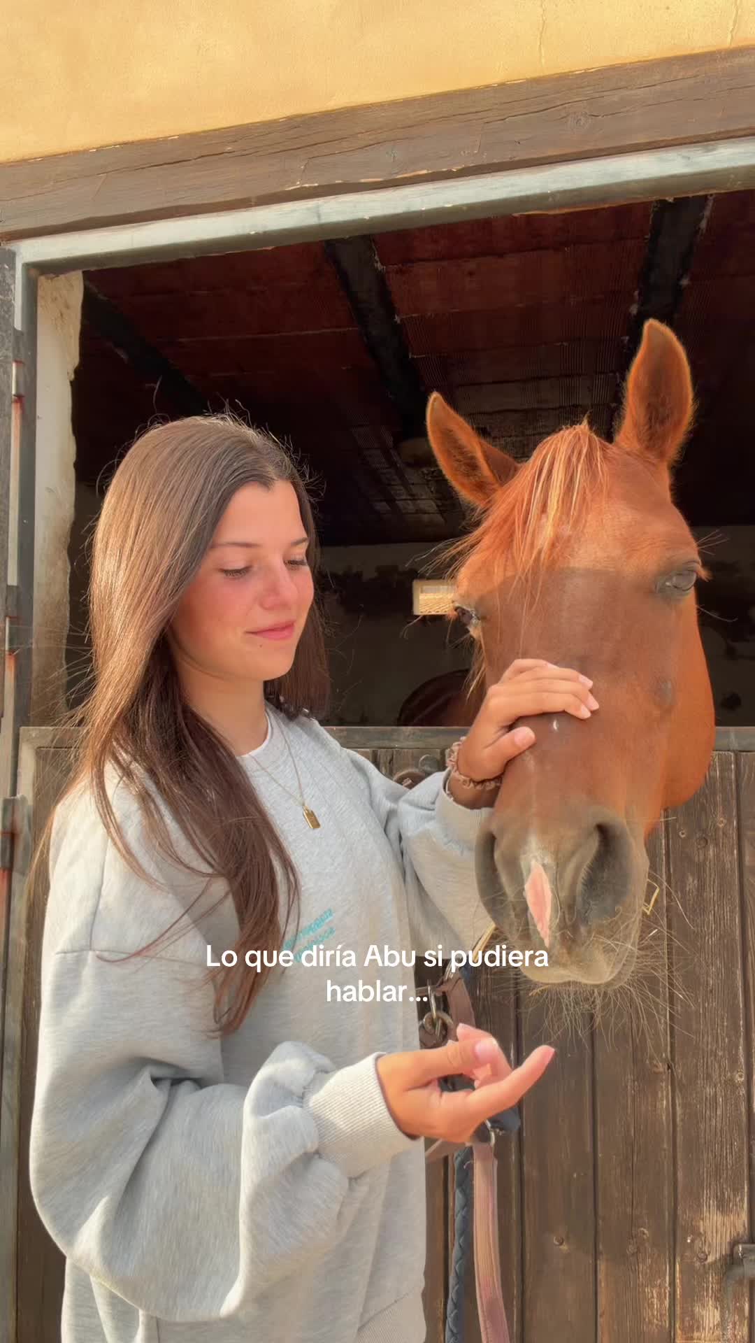 @MyHorse