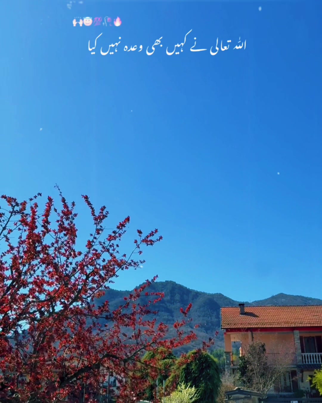 @saqib3449