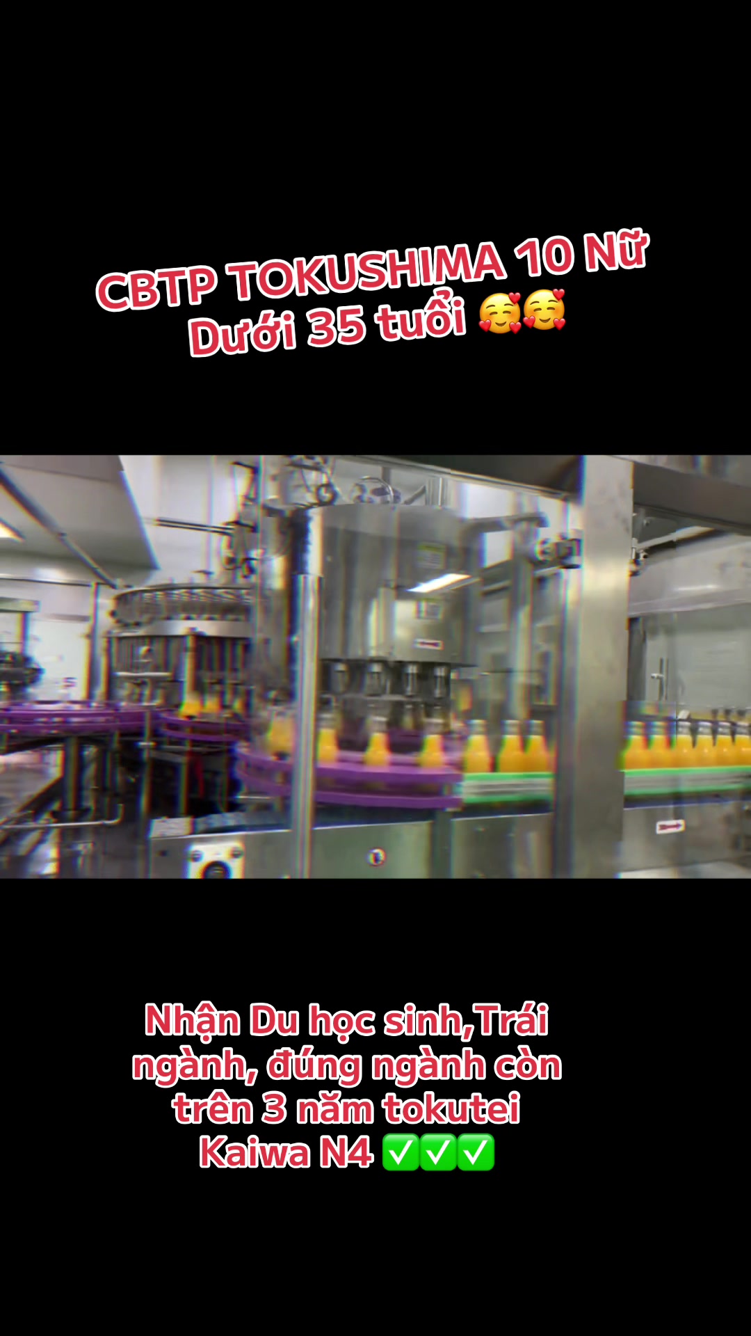 @Ngọc C&ocirc;ng Tokutei 🇻🇳🇯🇵