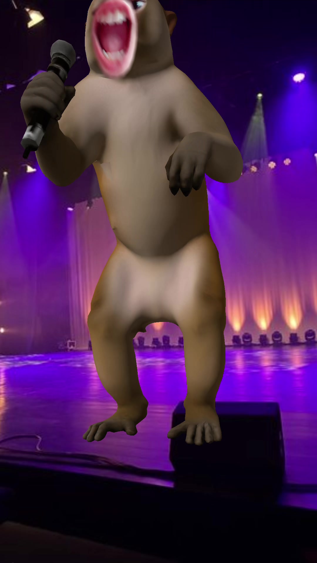@bear