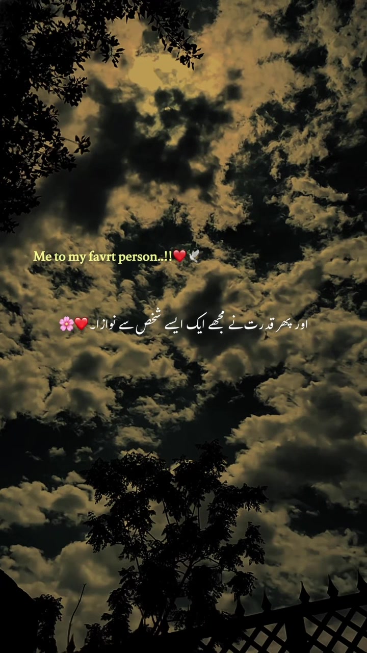 @🕊️