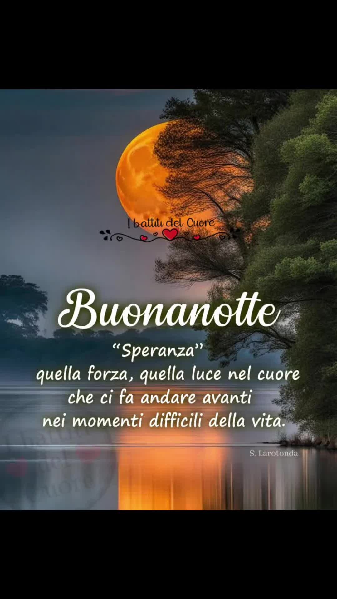 @🌞 Fede