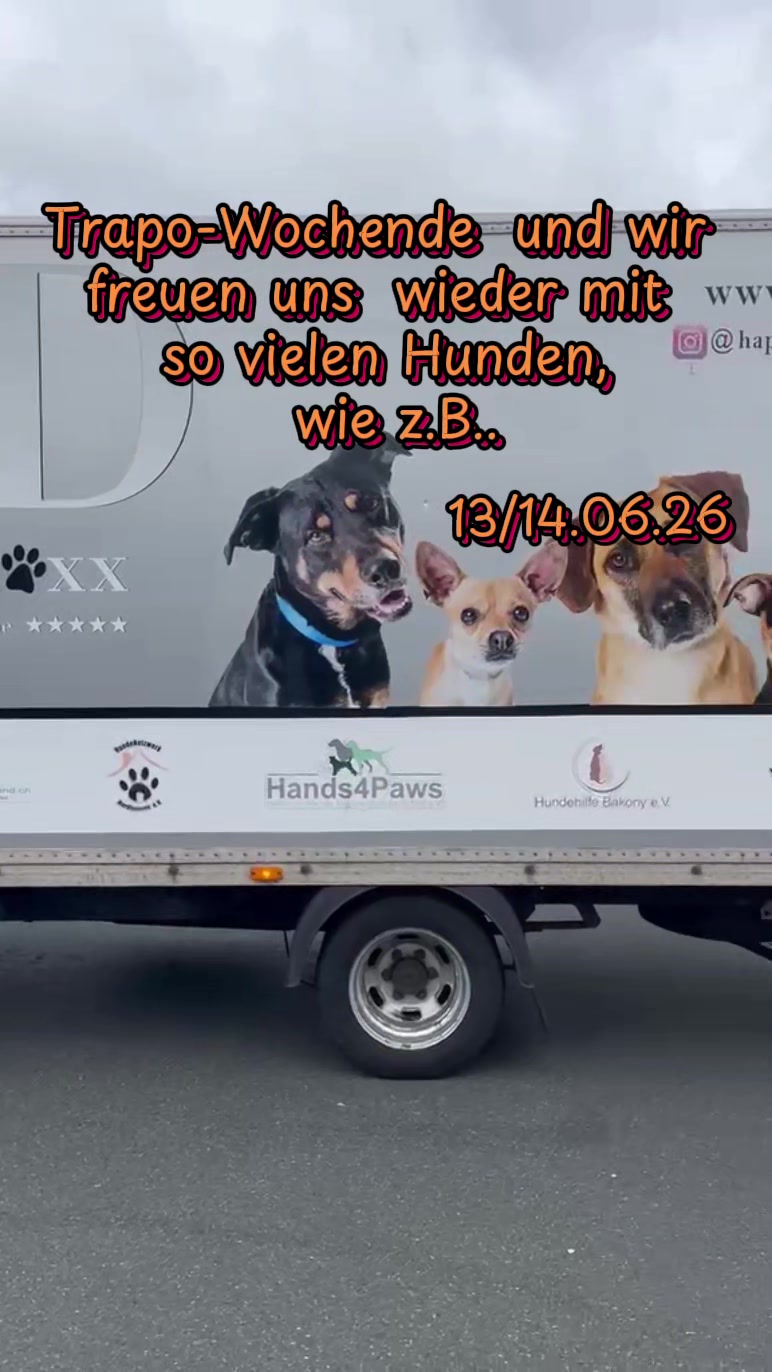 @Hundehilfe Bakony e.V.