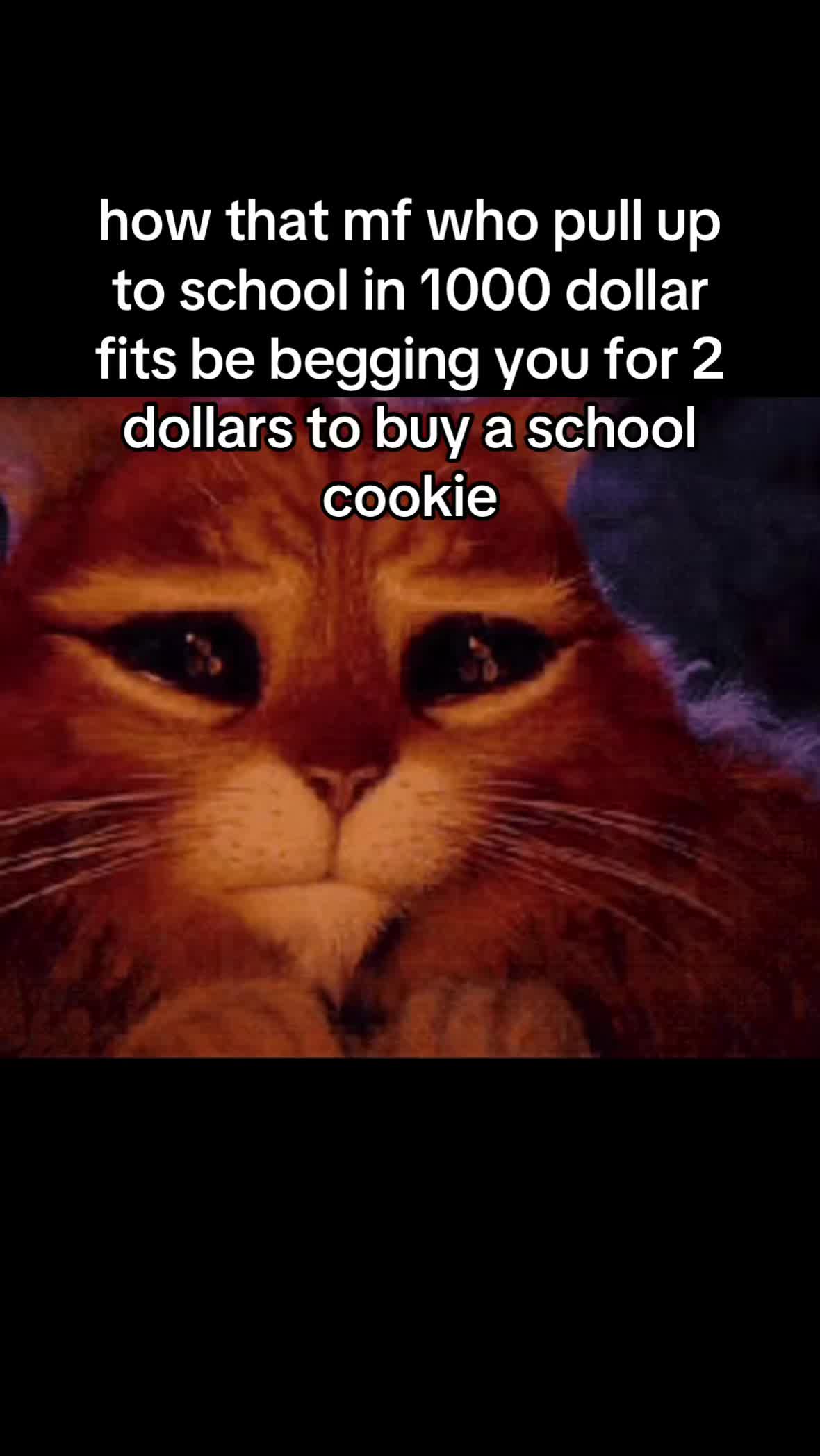 @pinkfifties