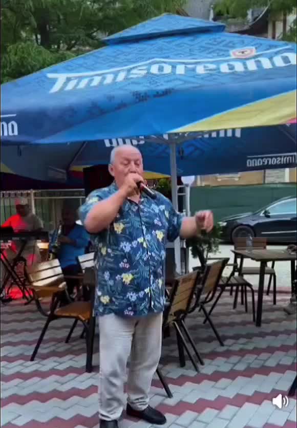 @Ionut Serban-Panescu