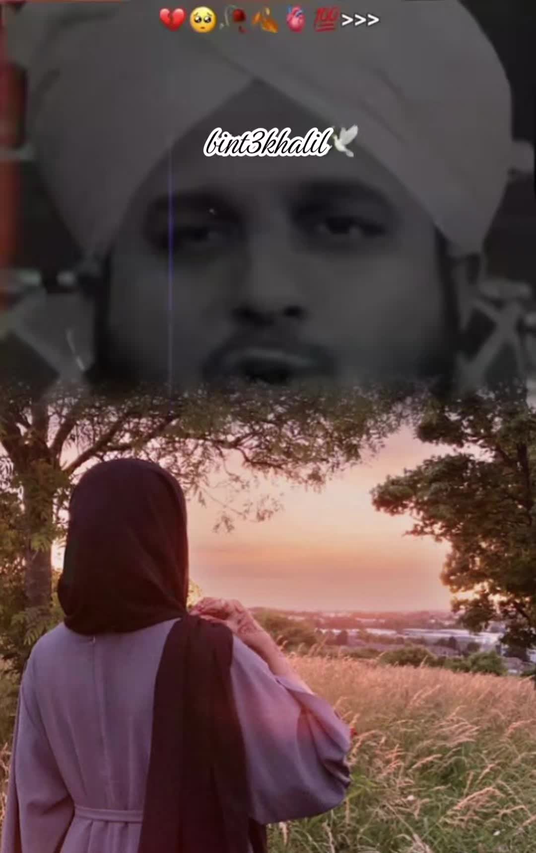 @Umaira