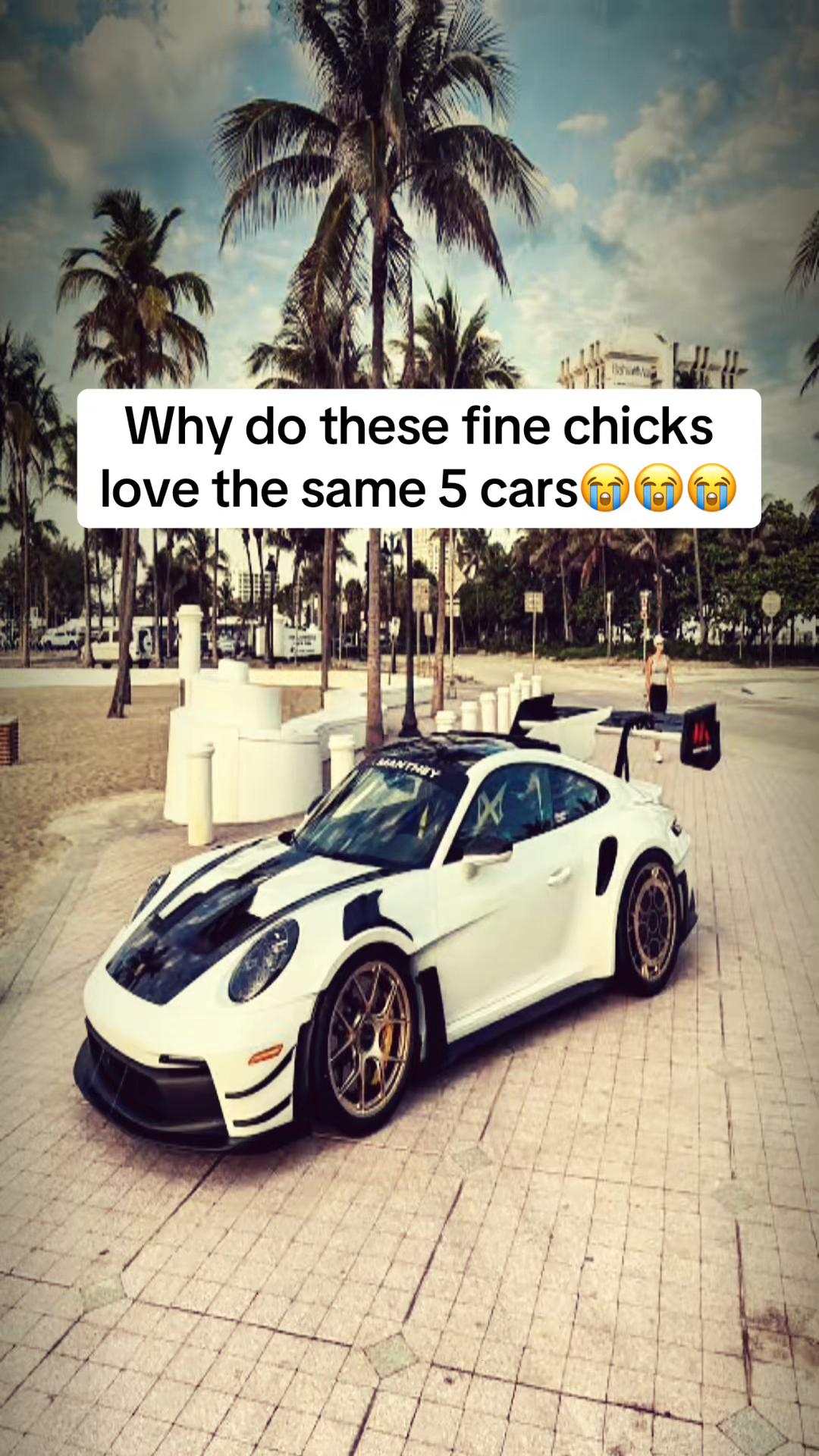 @castillo&rsquo;s_whipz