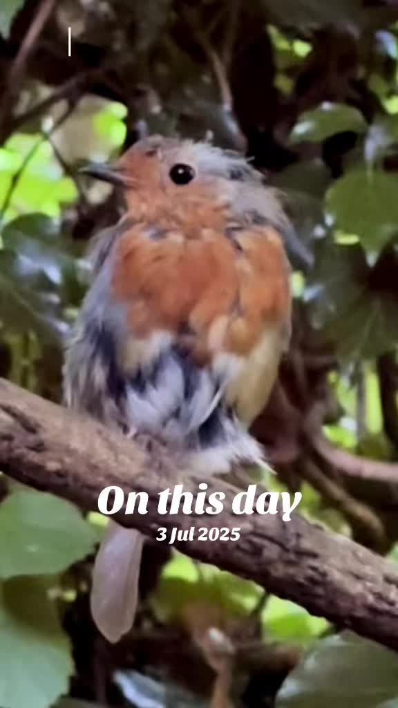 @flora_fauna_fur_feathers
