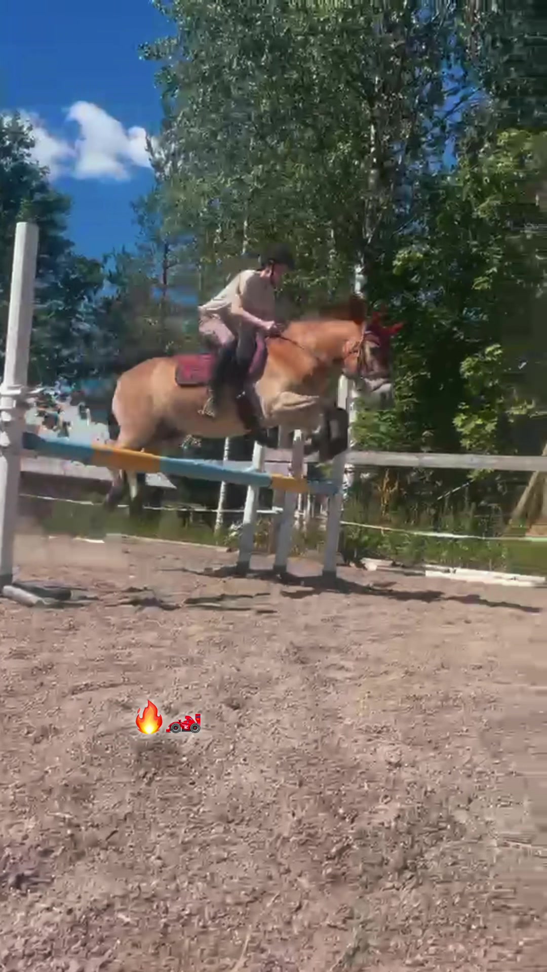 @Ponirannan talli🇫🇮🐎