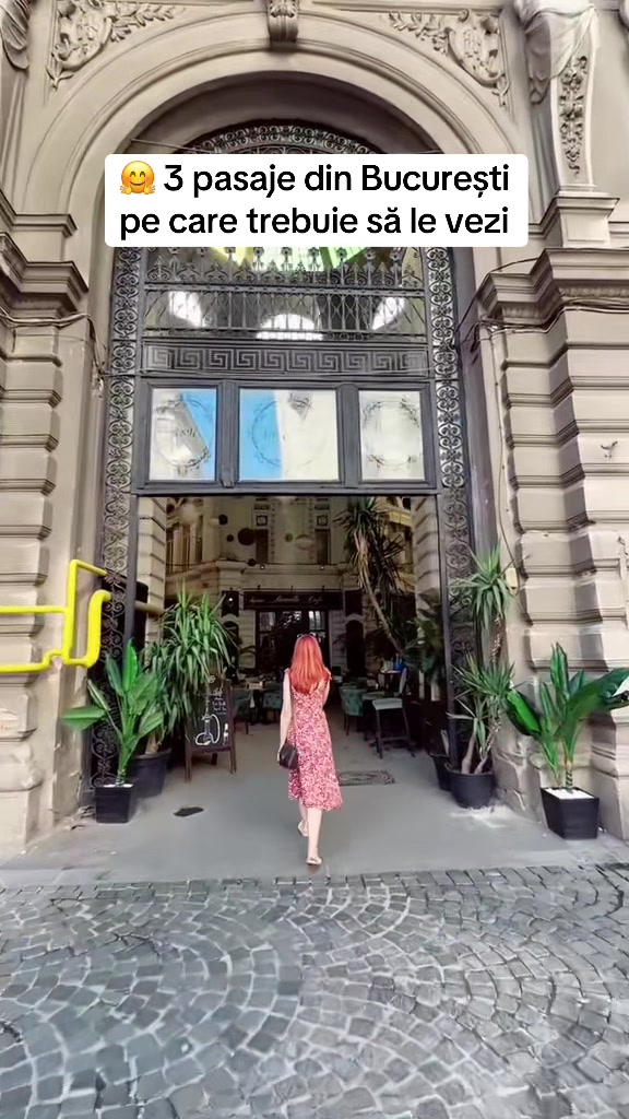 @surorilecalatoare